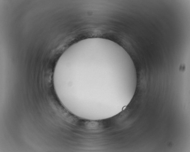 X0000112540230200909141319