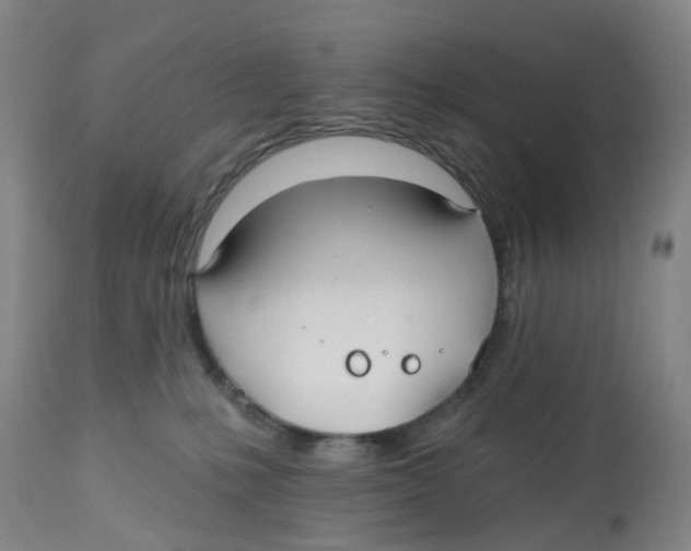 X0000112540231200909141319