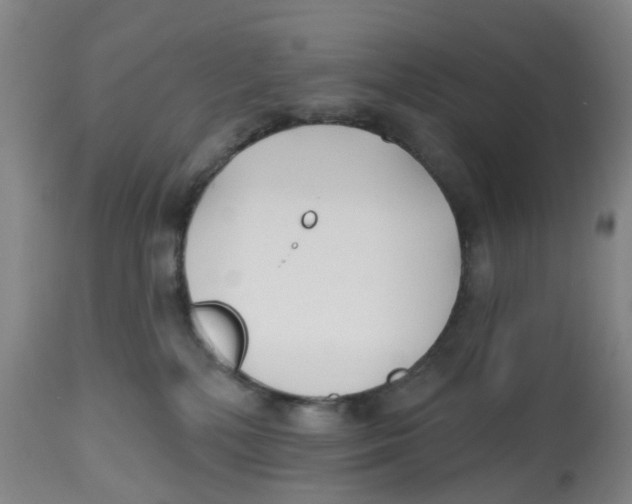X0000112540232200909141319