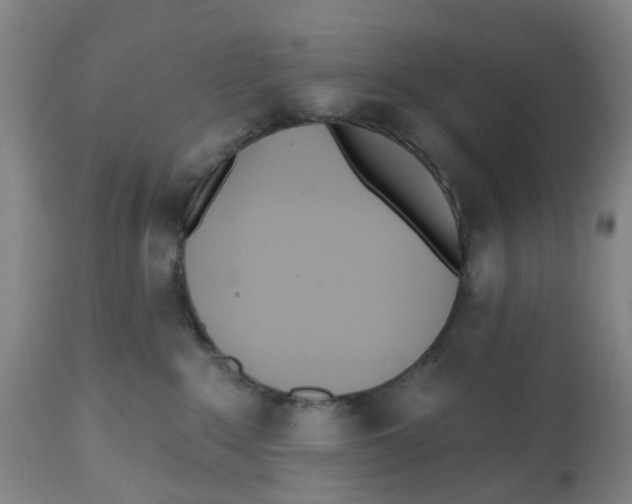 X0000112540235200909141319