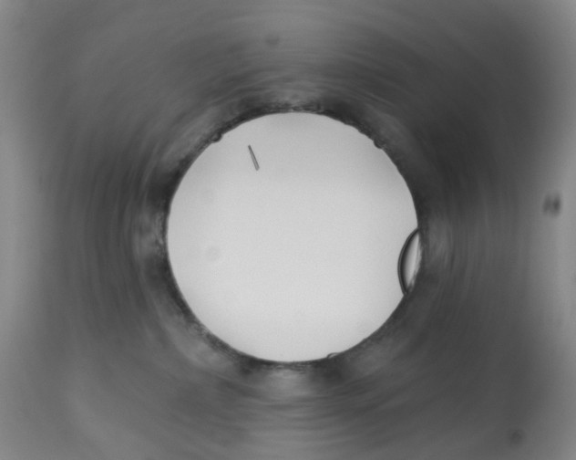 X0000112540236200909141319
