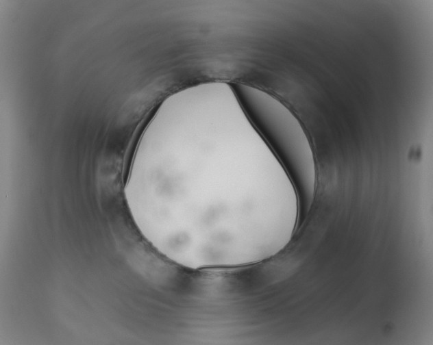 X0000112540237200909141319