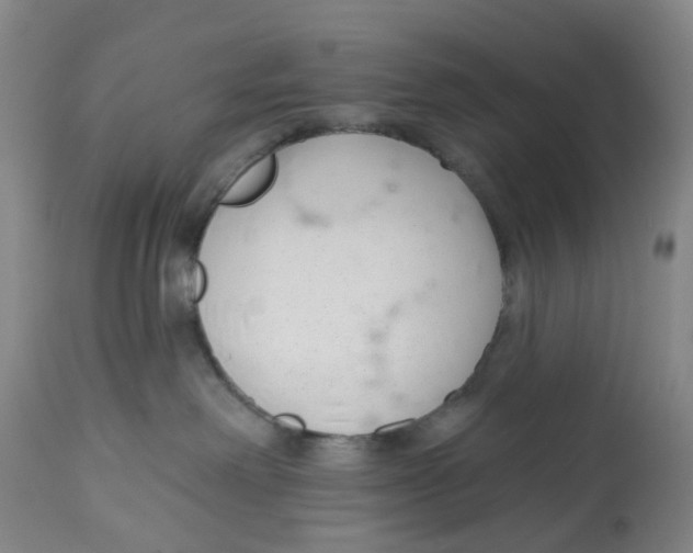 X0000112540238200909141319