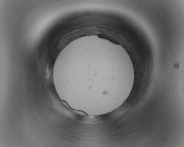 X0000112540239200909141319