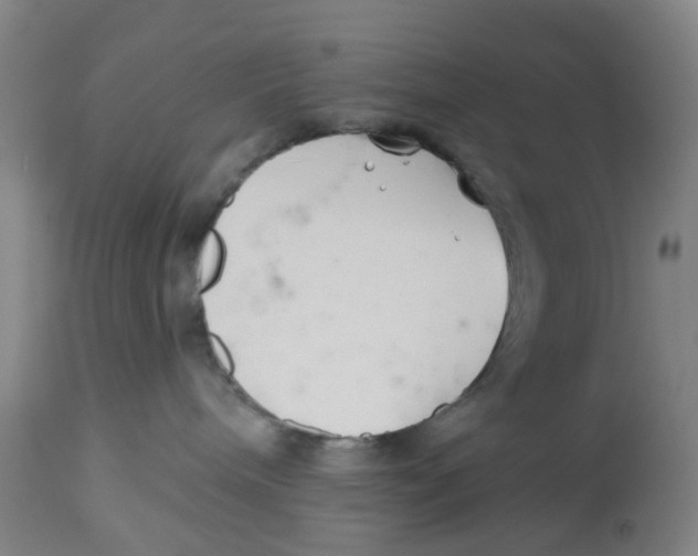 X0000112540240200909141319