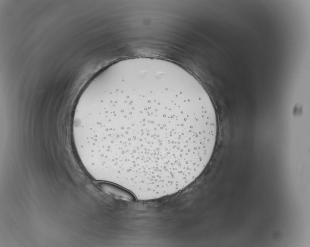 X0000112540241200909141319