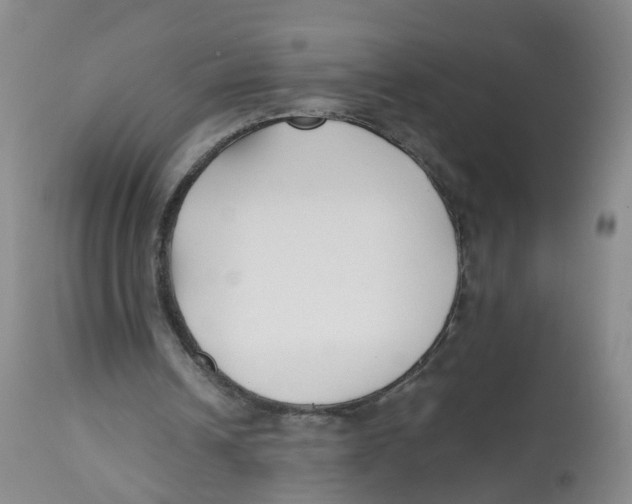 X0000112540242200909141319