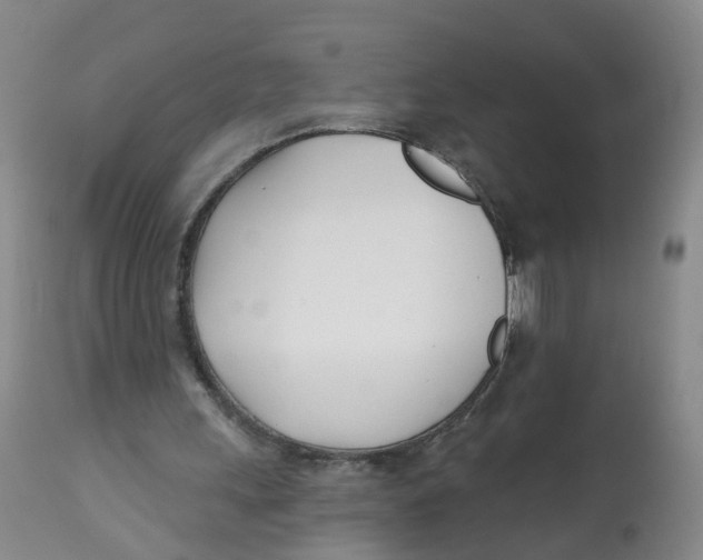 X0000112540243200909141319