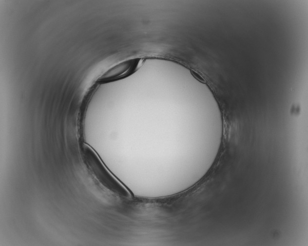X0000112540244200909141319
