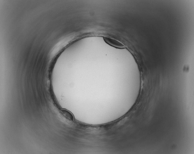 X0000112540245200909141319