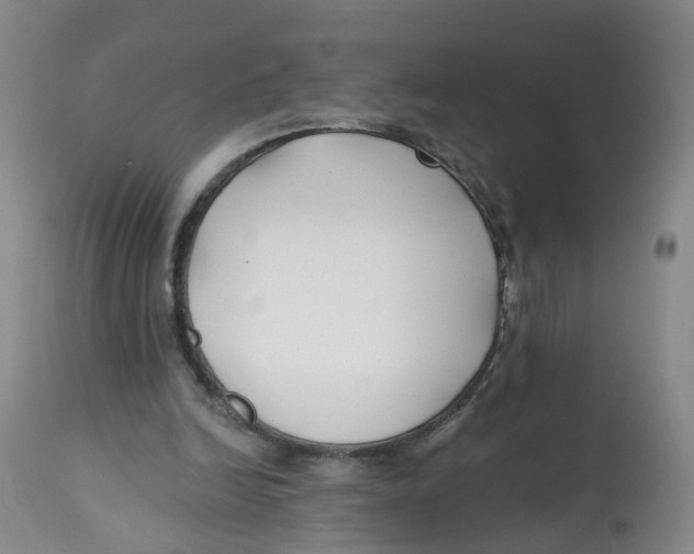 X0000112540246200909141319