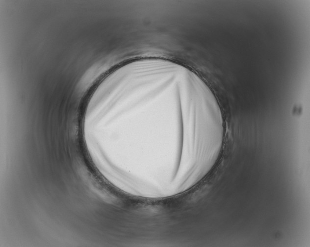 X0000112540247200909141319