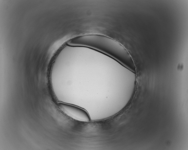 X0000112540248200909141319