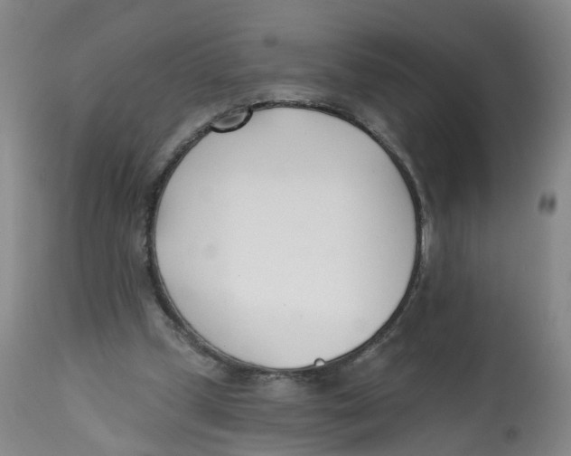 X0000112540249200909141319