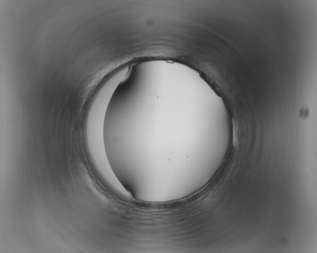 X0000112540252200909141319