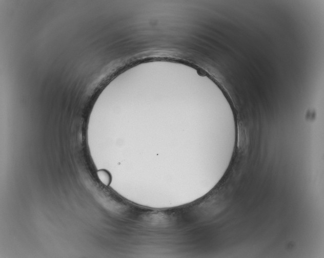 X0000112540253200909141319