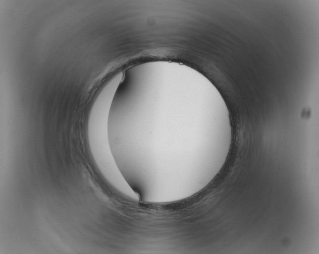 X0000112540256200909141319