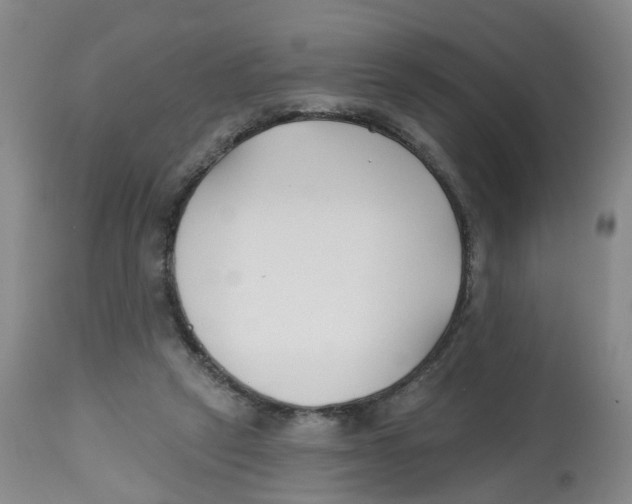 X0000112540257200909141319