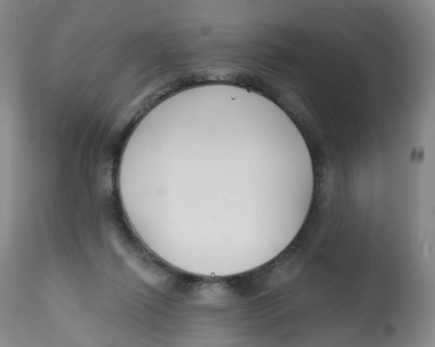 X0000112540262200909141319