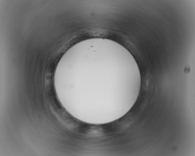 X0000112540263200909141319