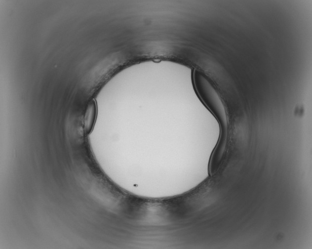 X0000112540264200909141319