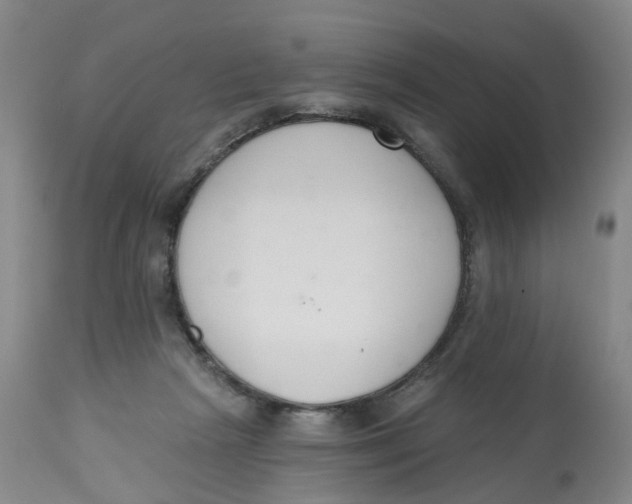 X0000112540265200909141319
