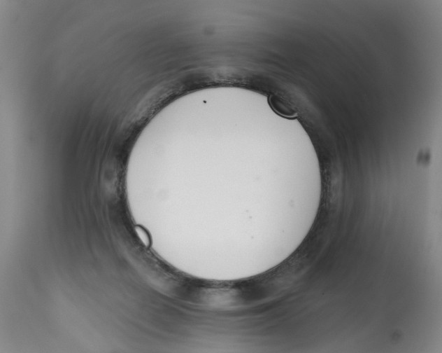 X0000112540266200909141319