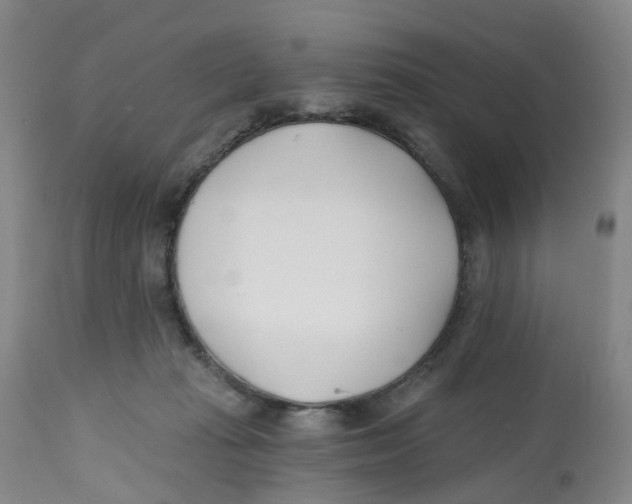 X0000112540269200909141319
