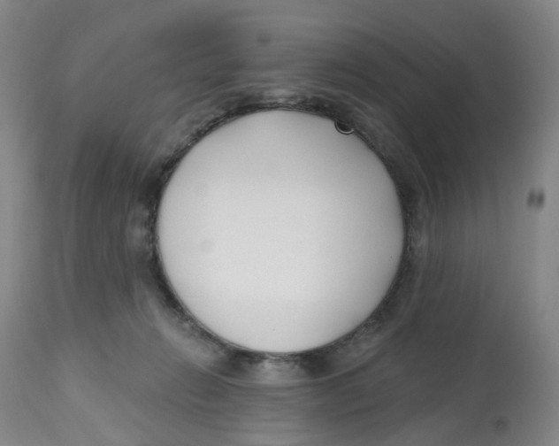 X0000112540270200909141319