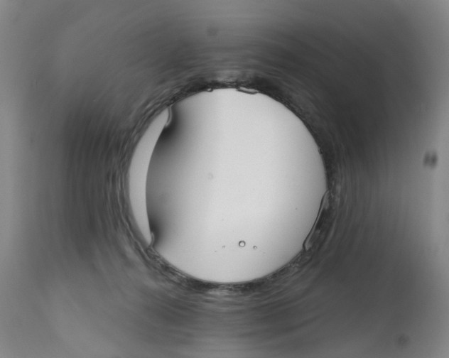 X0000112540272200909141319