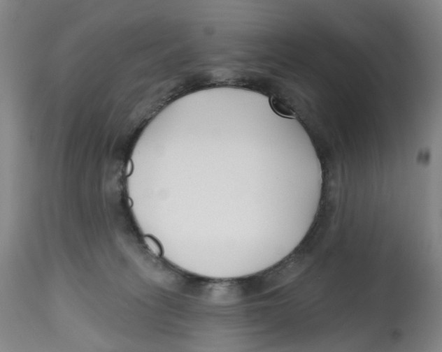 X0000112540275200909141319