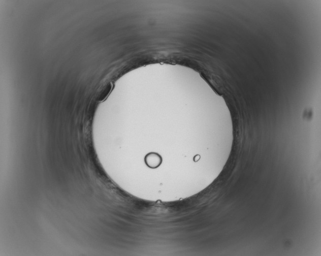 X0000112540276200909141319