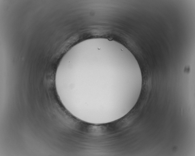 X0000112540277200909141319