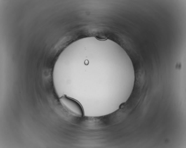 X0000112540278200909141319