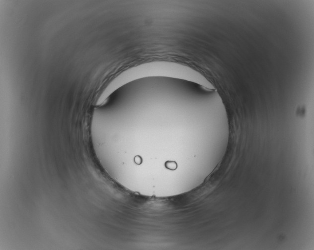 X0000112540280200909141319
