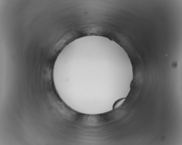 X0000112540282200909141319