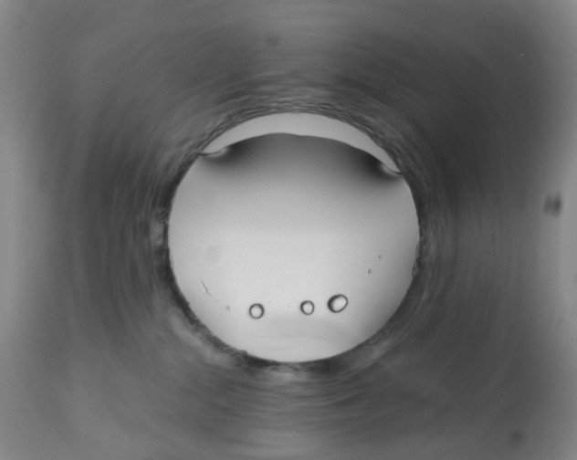 X0000112540284200909141319