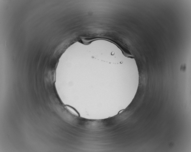 X0000112540286200909141319