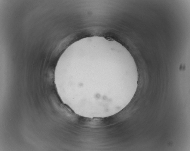 X0000112540288200909141319