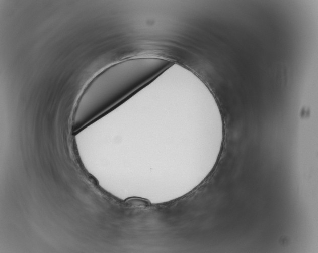 X0000112540289200909141318