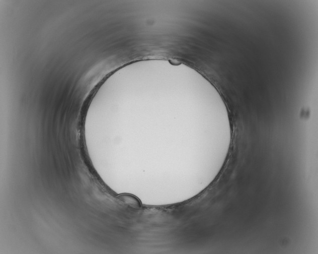X0000112540290200909141318