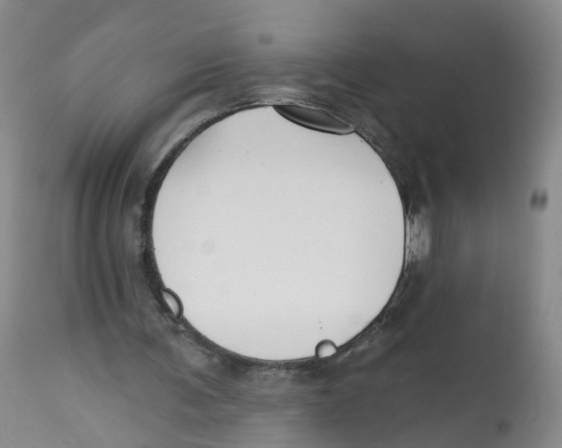 X0000112540291200909141318