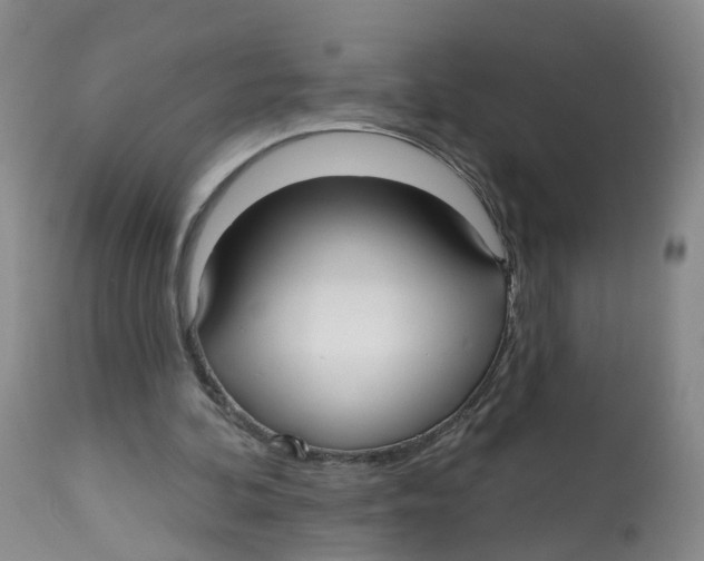 X0000112540292200909141318