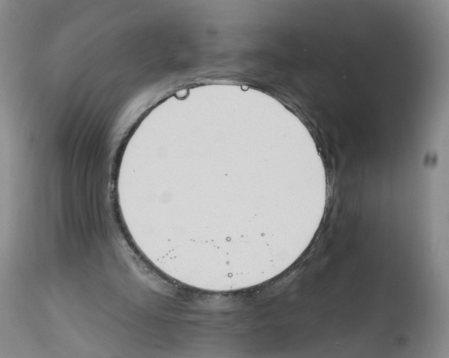 X0000112540293200909141318