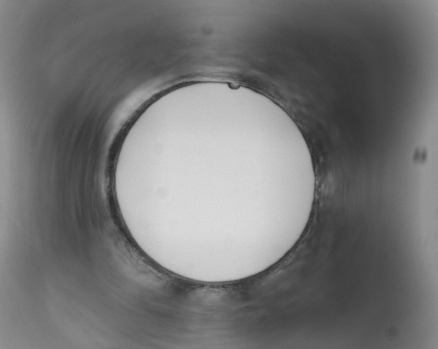 X0000112540294200909141318