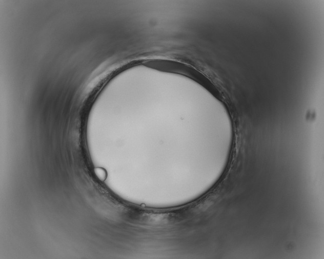 X0000112540295200909141318