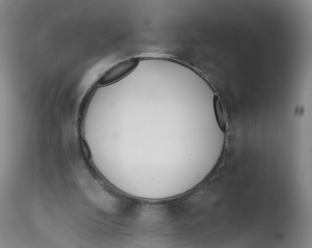 X0000112540296200909141318