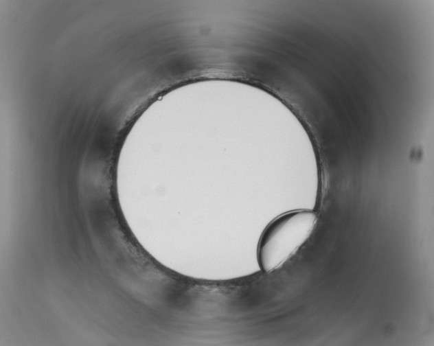 X0000112540297200909141318
