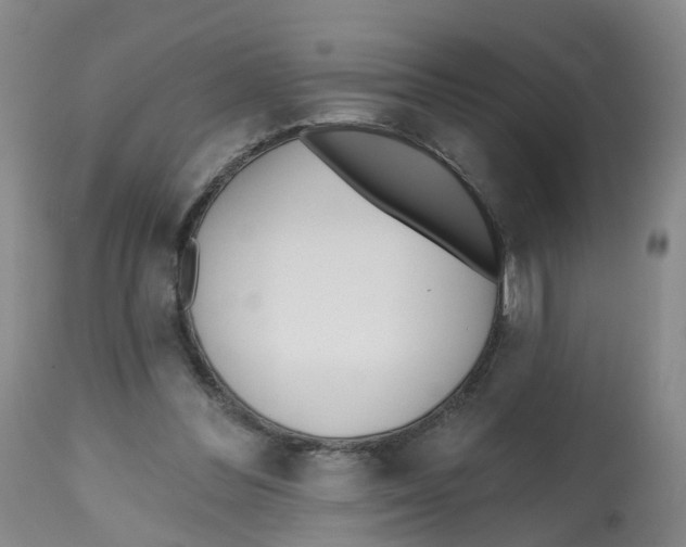 X0000112540300200909141318