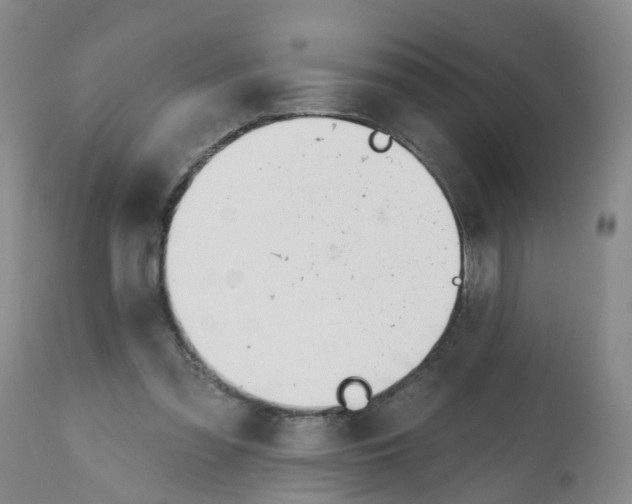 X0000112540301200909141318